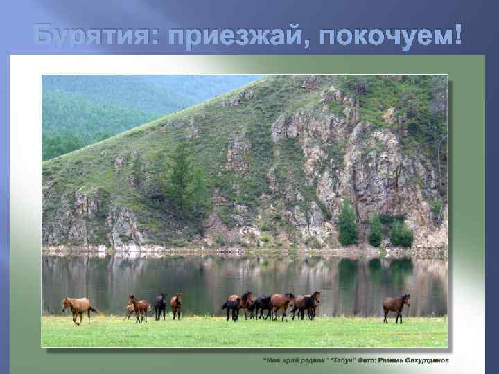 Бурятия: приезжай, покочуем! 