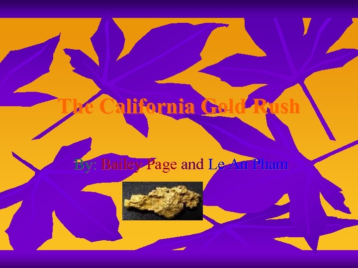 The California Gold Rush By: Bailey Page and Le An Pham 