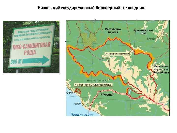 Кавказский биосферный заповедник карта