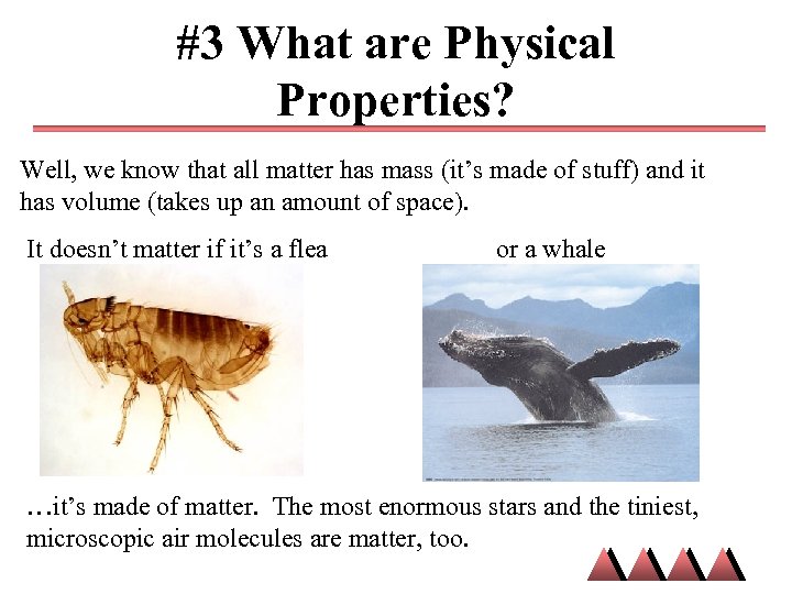 #3 What are Physical Properties? Well, we know that all matter has mass (it’s