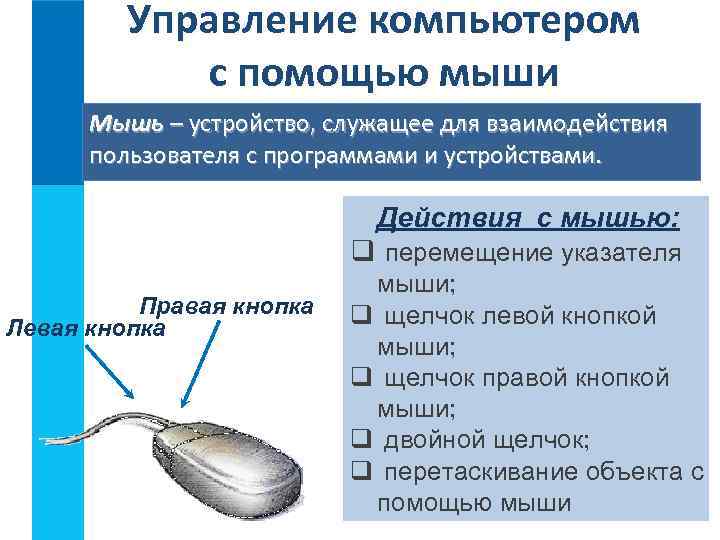 Управление компьютером с помощью мыши Мышь – устройство, служащее для взаимодействия пользователя с программами