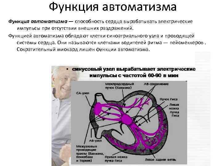 Автоматизм дыхания