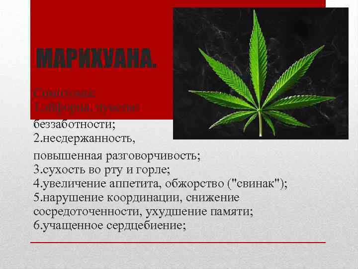 МАРИХУАНА. Симптомы: 1. эйфория, чувство беззаботности; 2. несдержанность, повышенная разговорчивость; 3. сухость во рту