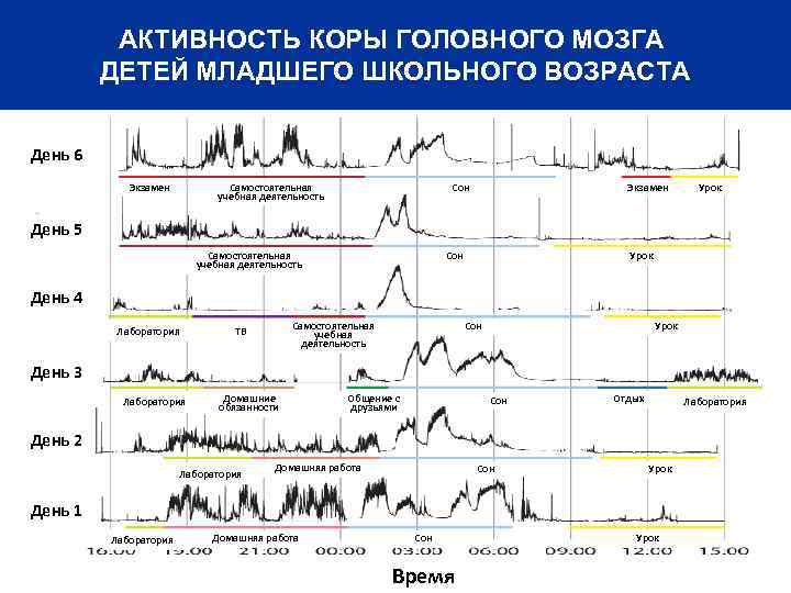 АКТИВНОСТЬ КОРЫ ГОЛОВНОГО МОЗГА ДЕТЕЙ МЛАДШЕГО ШКОЛЬНОГО ВОЗРАСТА День 6 Экзамен Самостоятельная учебная деятельность