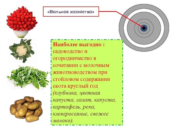  «Вольное хозяйство» Наиболее выгодно : садоводство и огородничество в сочетании с молочным животноводством