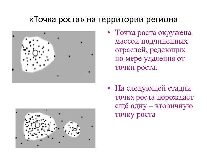  «Точка роста» на территории региона • Точка роста окружена массой подчиненных отраслей, редеющих