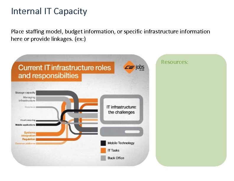 Internal IT Capacity Place staffing model, budget information, or specific infrastructure information here or