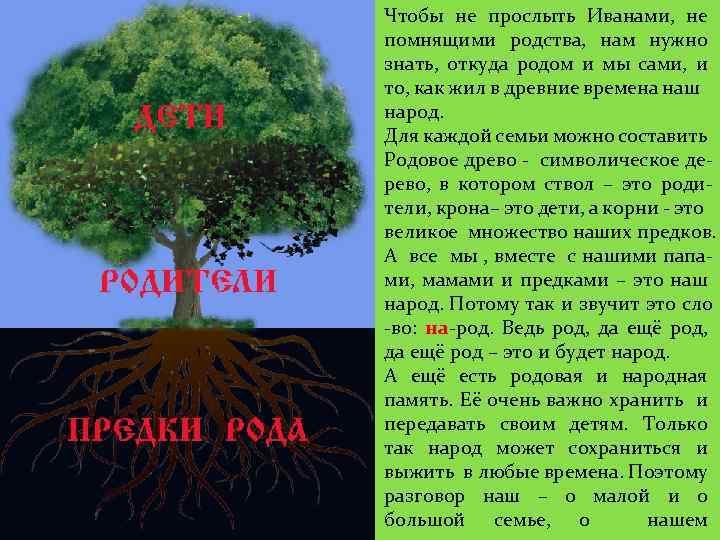 Чтобы не прослыть Иванами, не помнящими родства, нам нужно знать, откуда родом и мы