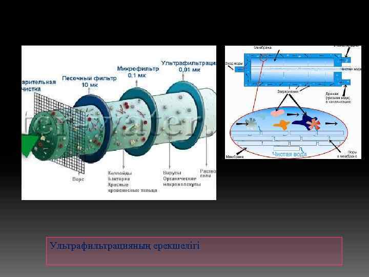 Ультрафильтрацияның ерекшелігі 