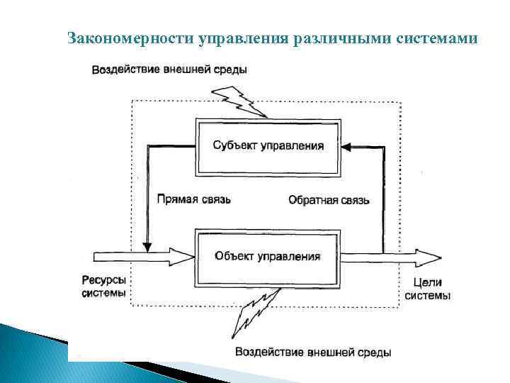Закономерности управления различными системами 