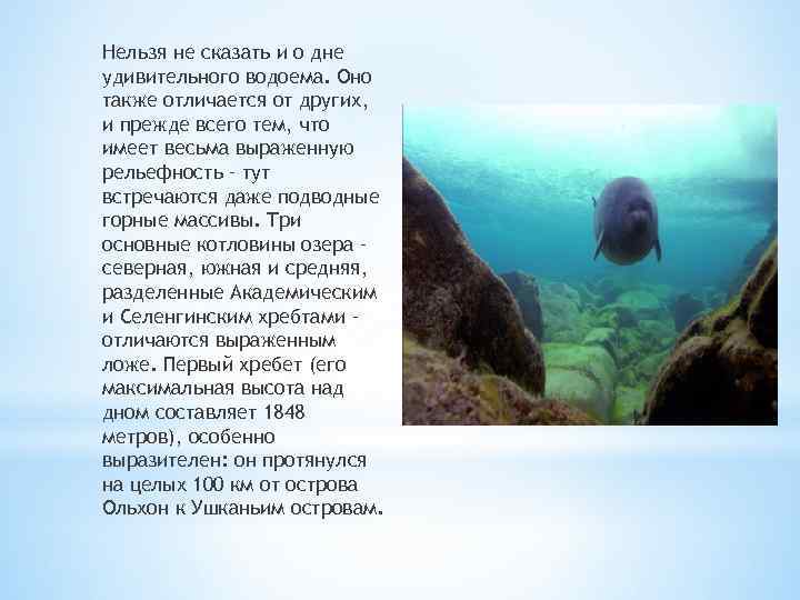 Нельзя не сказать и о дне удивительного водоема. Оно также отличается от других, и
