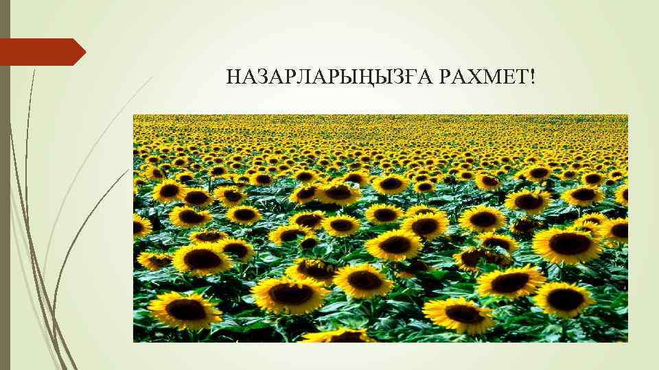 НАЗАРЛАРЫҢЫЗҒА РАХМЕТ! 