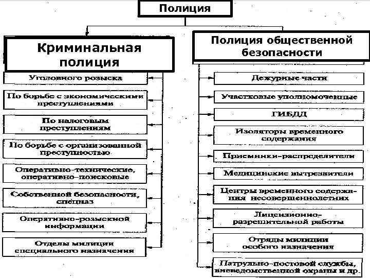 Полиция Криминальная полиция Полиция общественной безопасности 