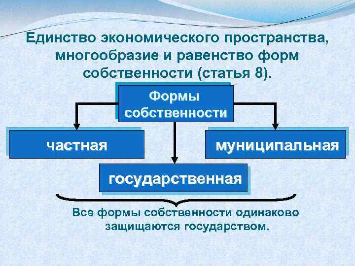 Единство экономического пространства, многообразие и равенство форм собственности (статья 8). Формы собственности частная муниципальная