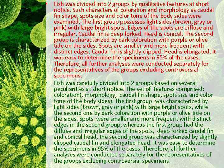  • Fish was divided into 2 groups by qualitative features at short notice.