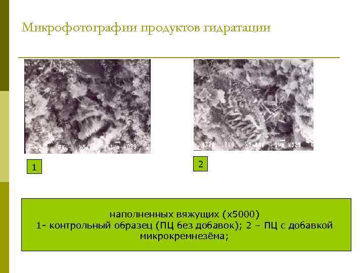 Микрофотографии продуктов гидратации 1 2 наполненных вяжущих (х5000) 1 - контрольный образец (ПЦ без