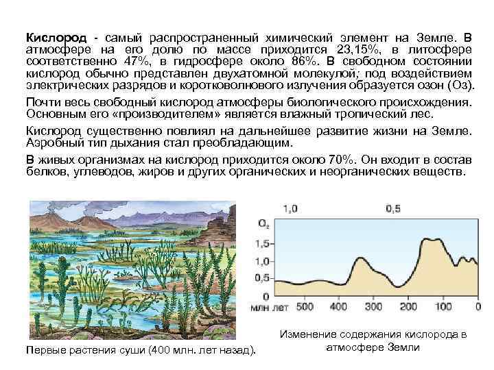 Кислород самый распространенный химический элемент на Земле. В атмосфере на его долю по массе