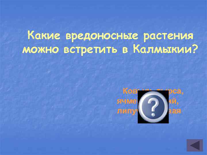 Какие вредоносные растения можно встретить в Калмыкии? Ковыль тырса, ячмень заячий, липучка ежовая 