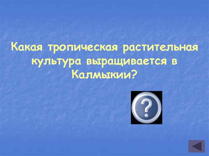 Какая тропическая растительная культура выращивается в Калмыкии? Рис 