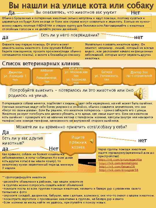 Вы нашли на улице кота или собаку Да Нет Вы опасаетесь, что животное вас