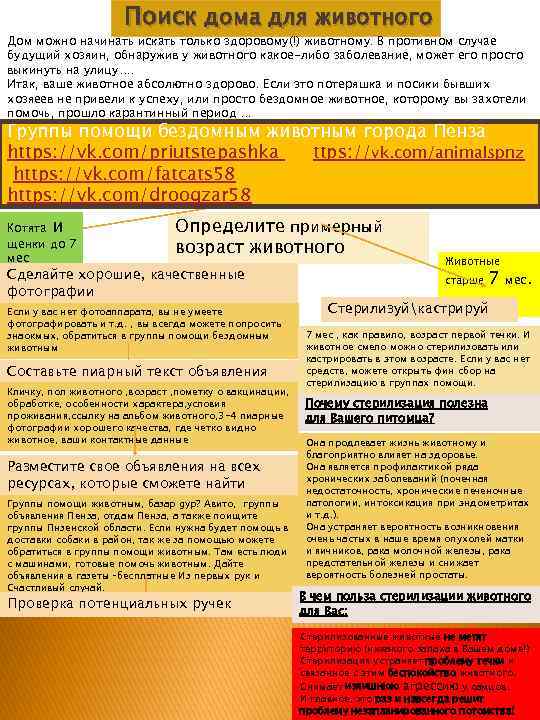 Поиск дома для животного Дом можно начинать искать только здоровому(!) животному. В противном случае