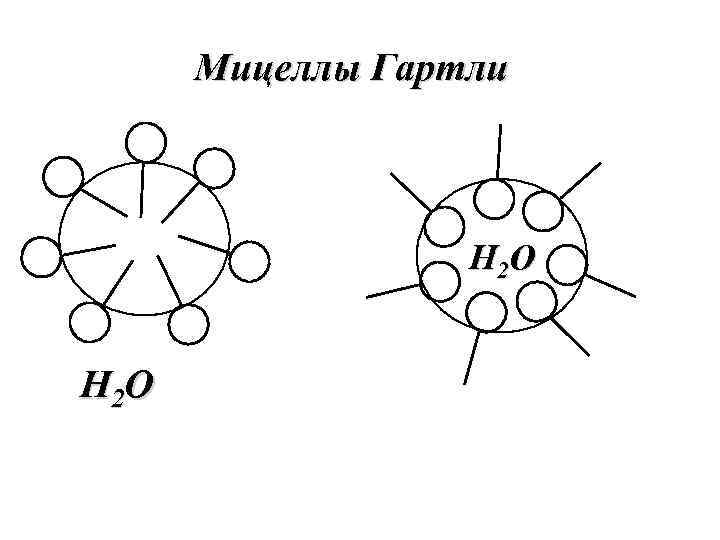 Мицеллы Гартли Н 2 О 