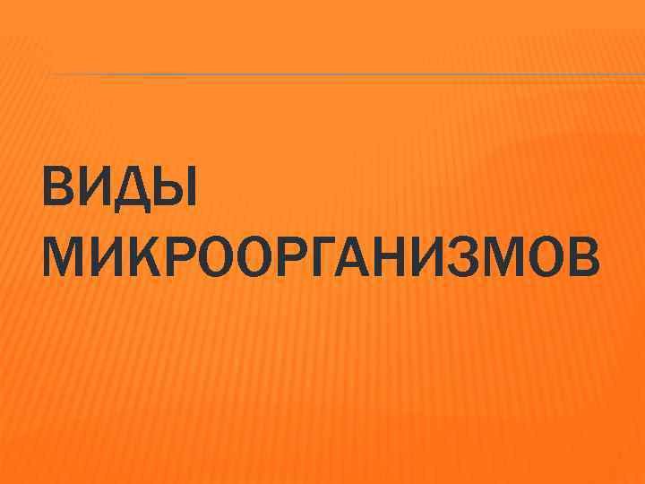 ВИДЫ МИКРООРГАНИЗМОВ 