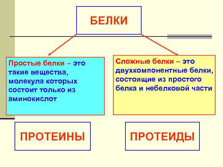 БЕЛКИ Простые белки – это такие вещества, молекула которых состоит только из аминокислот ПРОТЕИНЫ