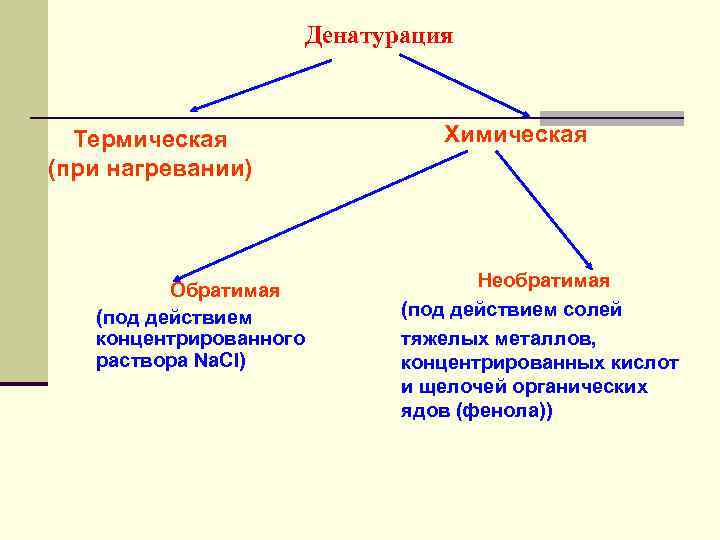 Денатурация Термическая (при нагревании) Обратимая (под действием концентрированного раствора Nа. Сl) Химическая Необратимая (под