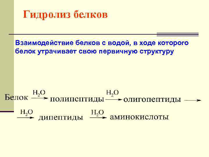 Гидролиз белков Взаимодействие белков с водой, в ходе которого белок утрачивает свою первичную структуру