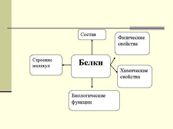 Состав Строение молекул Физические свойства Белки Химические свойства Биологические функции 