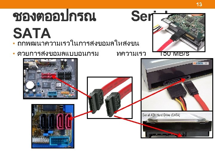 ชองตออปกรณ SATA 13 Serial • ถกพฒนาความเรวในการสงขอมลใหสงขน • ดวยการสงขอมลแบบอนกรม ทความเรว จาก IDE 150 MB/s 