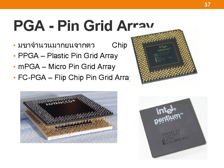 37 PGA - Pin Grid Array • มขาจำนวนมากยนจากตว Chip • PPGA – Plastic Pin
