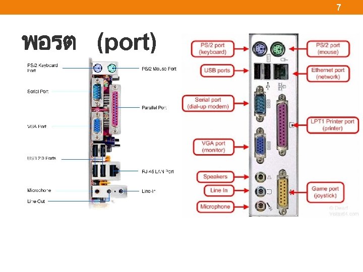 7 พอรต (port) 