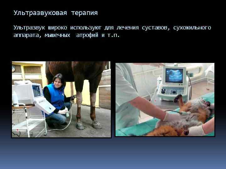 Ультразвуковая терапия Ультразвук широко используют для лечения суставов, сухожильного аппарата, мышечных атрофий и т.