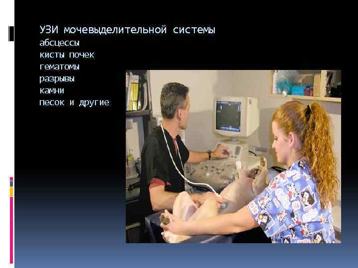 УЗИ мочевыделительной системы абсцессы кисты почек гематомы разрывы камни песок и другие 