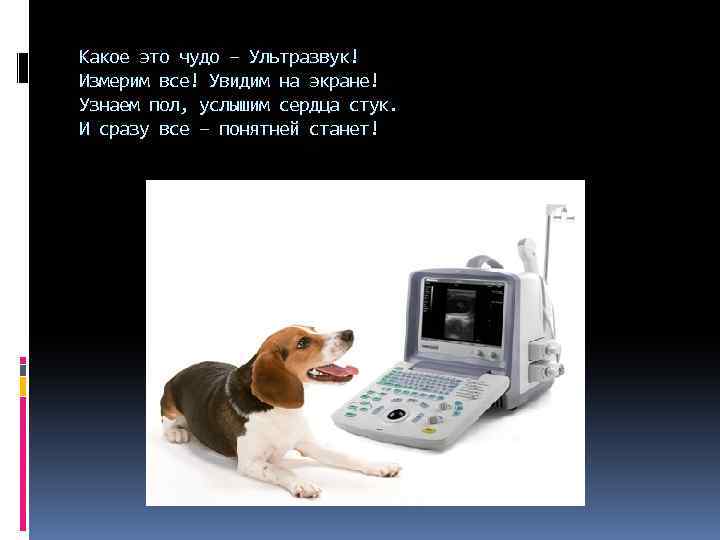 Какое это чудо – Ультразвук! Измерим все! Увидим на экране! Узнаем пол, услышим сердца