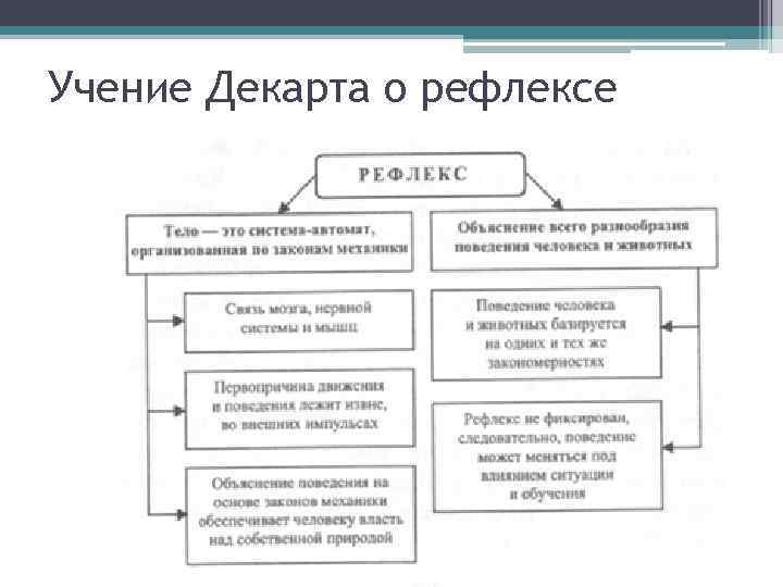 Учение декарта. Рефлекторная схема Декарта. Учение о рефлексе Декарт. Рефлекторная теория поведения идея рефлекса р Декарта. Схема учения Декарта.