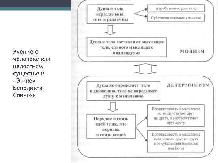 Учение о человеке как целостном существе в «Этике» Бенедикта Спинозы 