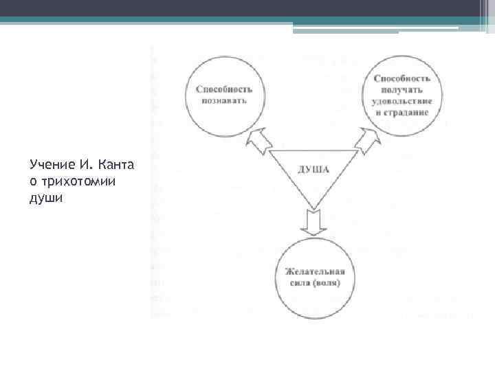 Учение И. Канта о трихотомии души 