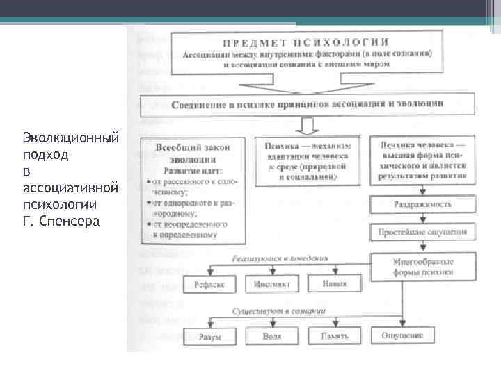 Эволюционный подход в ассоциативной психологии Г. Спенсера 