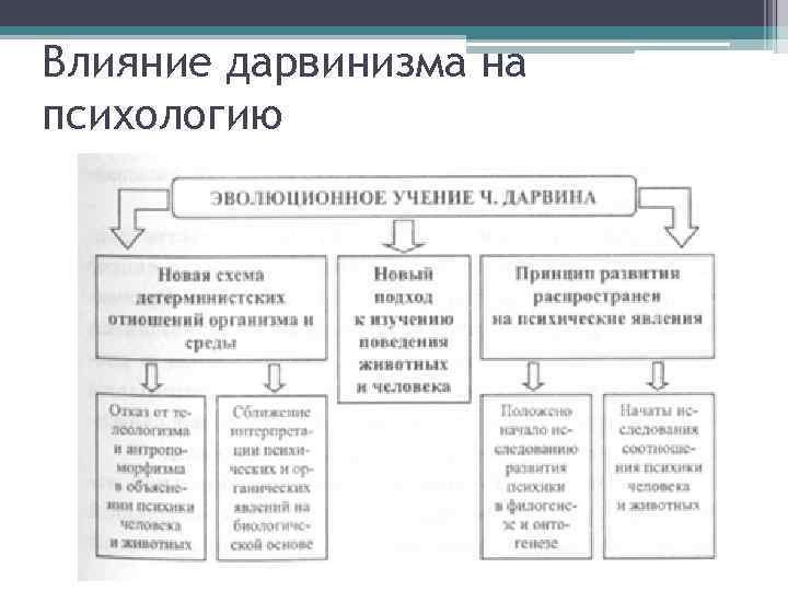 Оформите схему логическая структура дарвинизма живые организмы характеризуются жизненные ресурсы