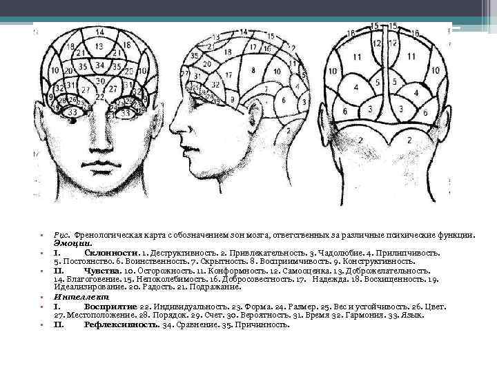 Френологическая карта галля