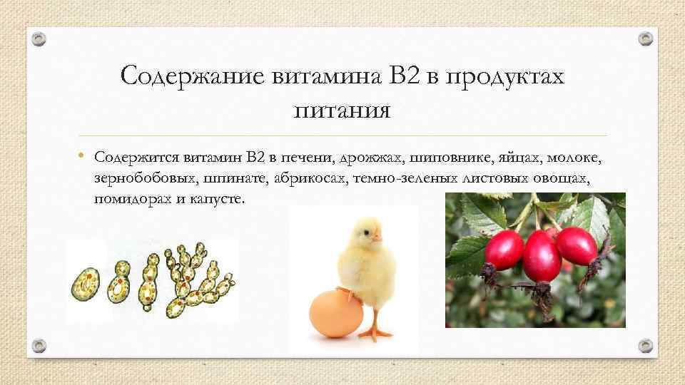 Содержание витамина B 2 в продуктах питания • Содержится витамин B 2 в печени,
