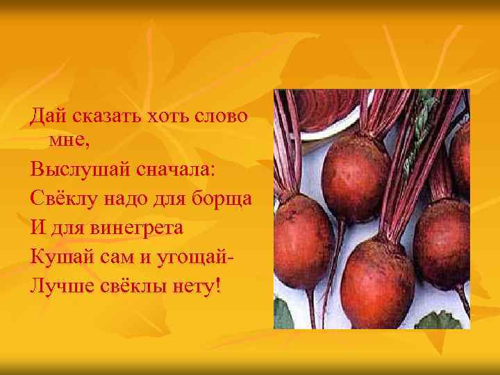 Дай сказать хоть слово мне, Выслушай сначала: Свёклу надо для борща И для винегрета