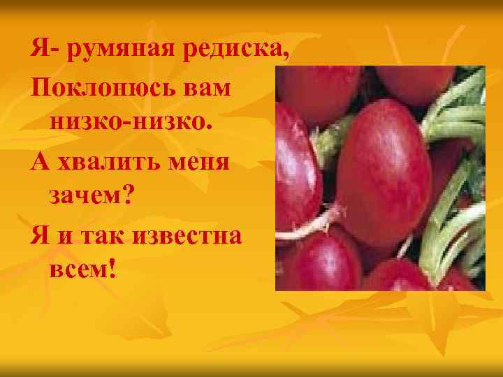 Я- румяная редиска, Поклонюсь вам низко-низко. А хвалить меня зачем? Я и так известна