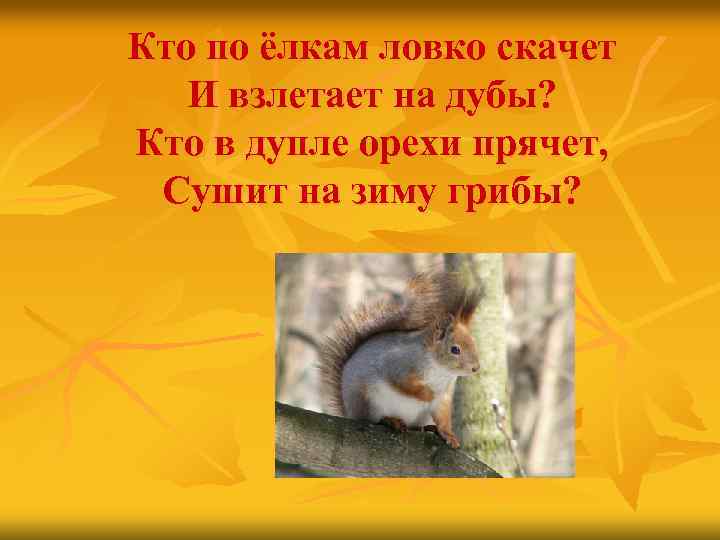 Кто по ёлкам ловко скачет И взлетает на дубы? Кто в дупле орехи прячет,