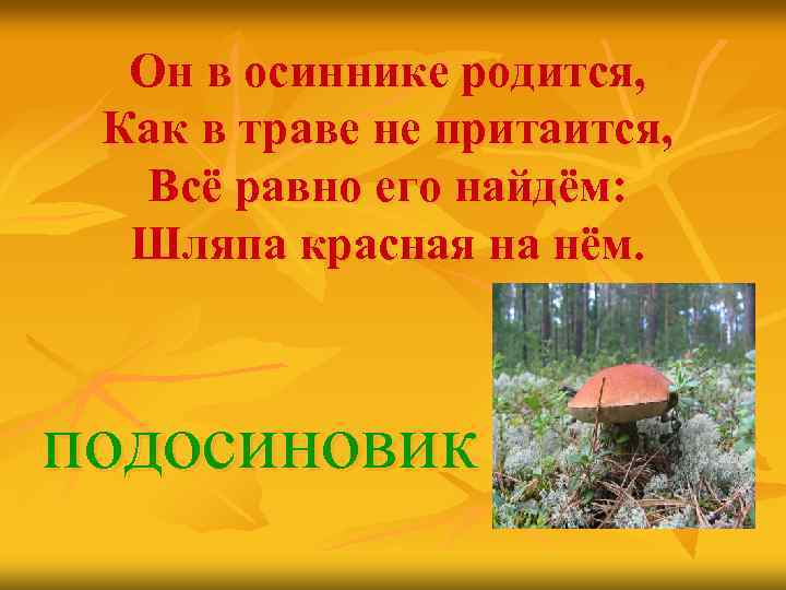 Он в осиннике родится, Как в траве не притаится, Всё равно его найдём: Шляпа