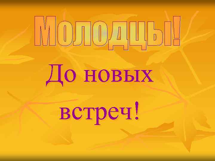 До новых встреч! 