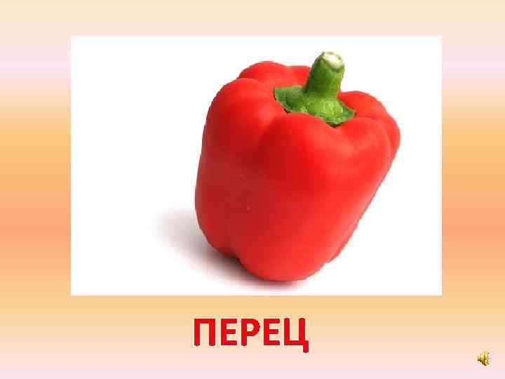 ПЕРЕЦ 